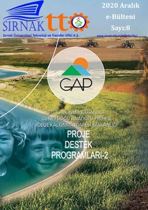 2020 Aralık TTO e-bülteni 8. Sayısı