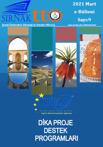 2021 Mart TTO e-bülteni 9. Sayısı