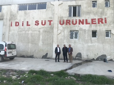 Cizre Organize Sanayi'de Süt Tesisi için Saha Araştırmaları