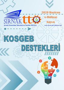 ŞırnakTTO e-bülteni 2020 Haziran/6.Sayı