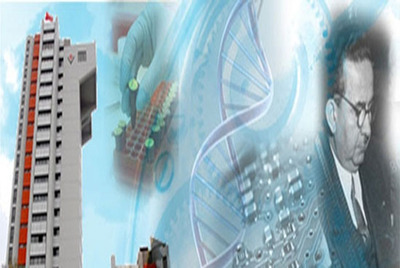 TÜBİTAK-Münir Birsel Lisansüstü Bursları (2019)