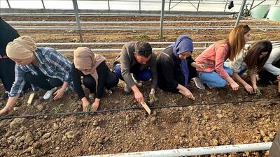 Uygulamalı Seracılık Eğitimi Gerçekleştirildi